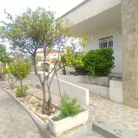 Buda